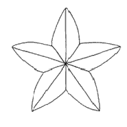 starfish animation