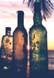bottles