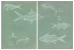 graphic art publication, Oceanic Institure Annual Report 1992