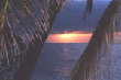 sunset no. 4