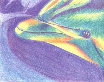 color pencil drawing