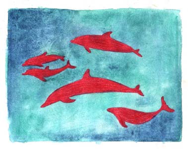  red dolphins
