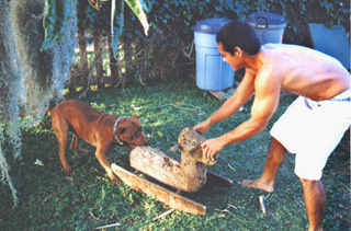 Ikaika