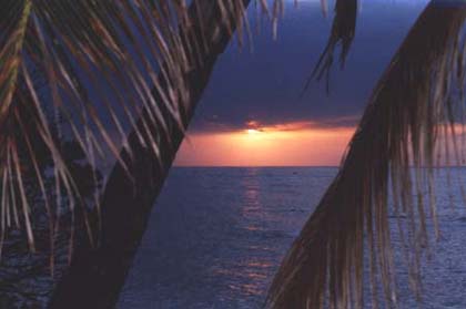 sunset no. 4