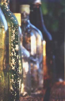 bottles